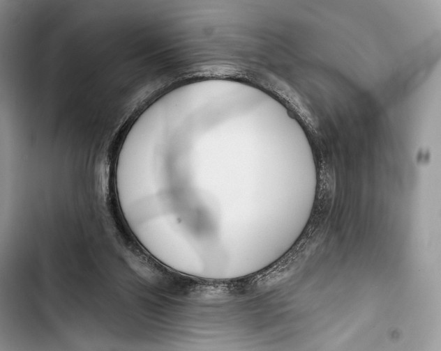 X0000103460110200810031506