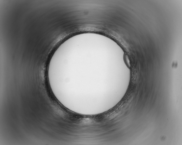 X0000103460111200810031506