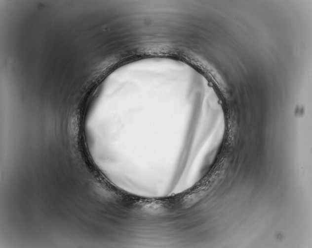 X0000103460113200810031506