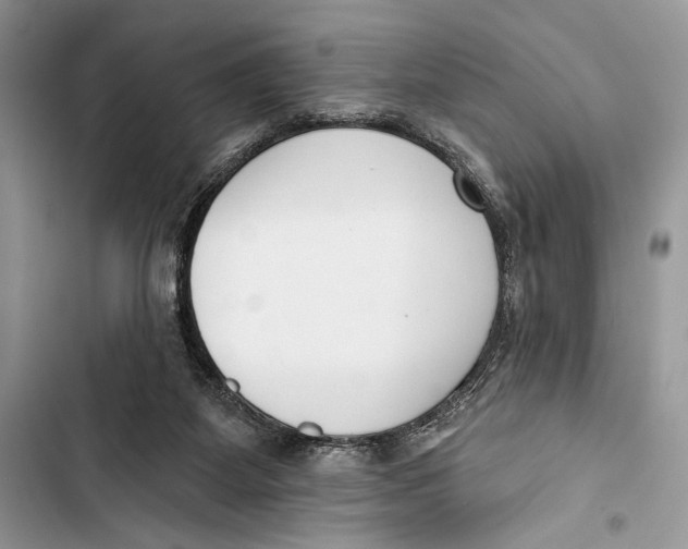 X0000103460115200810031506