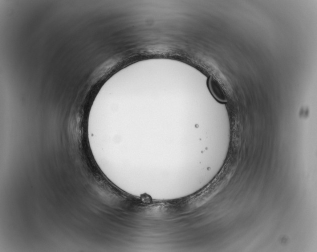 X0000103460116200810031506