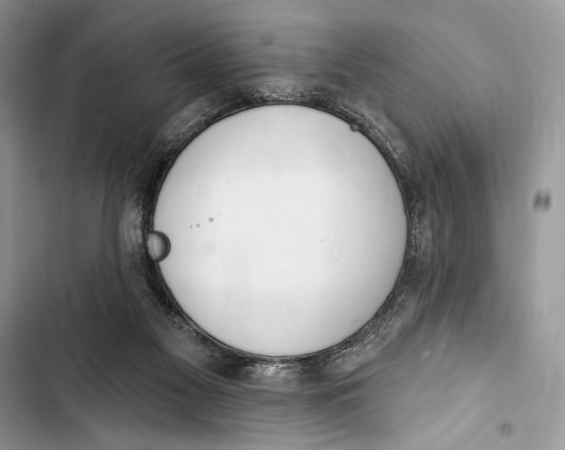 X0000103460117200810031506