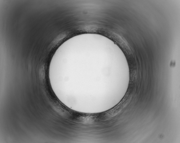 X0000103460120200810031506