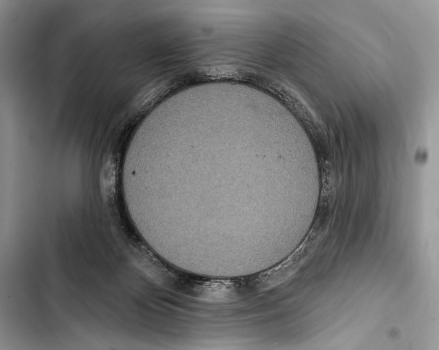 X0000103460124200810031506