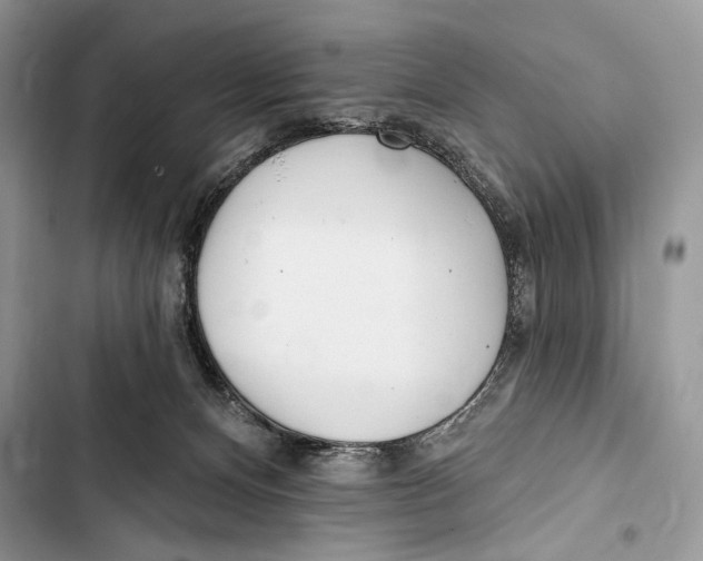 X0000103460128200810031506