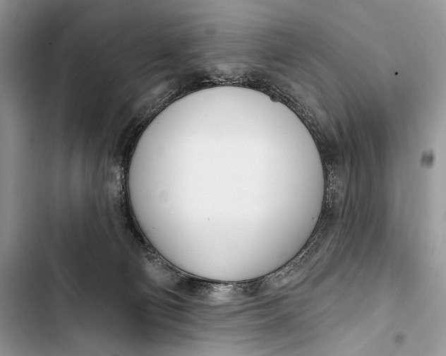 X0000103460130200810031506