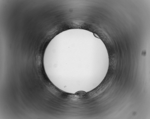 X0000103460131200810031506