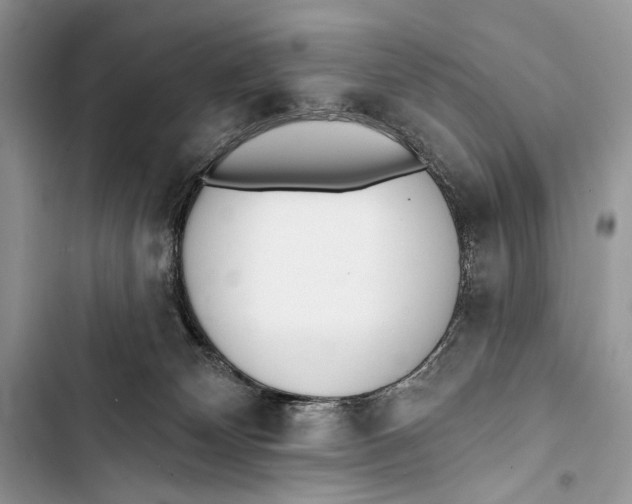 X0000103460132200810031506