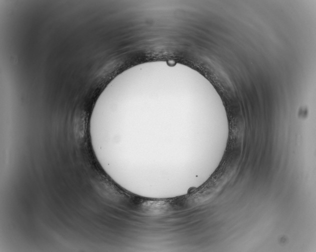 X0000103460133200810031506