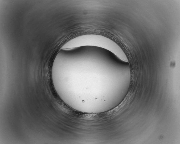 X0000103460136200810031506