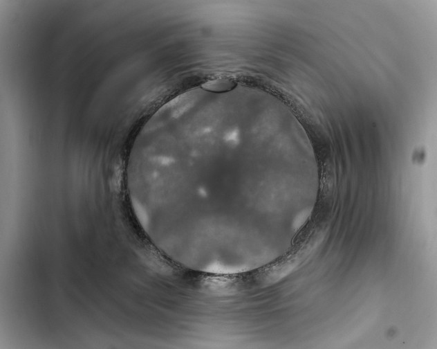 X0000103460139200810031506