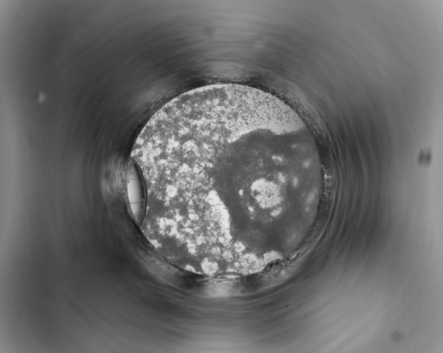 X0000103460143200810031506