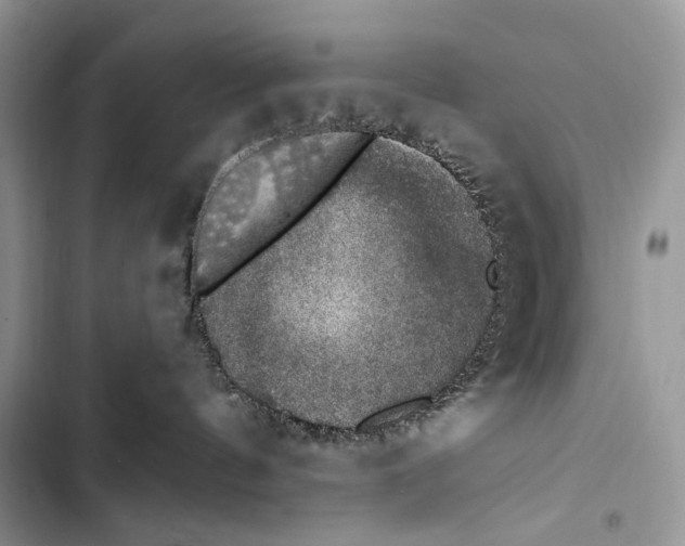 X0000103460144200810031506