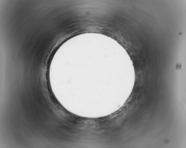 X0000103460146200810031505