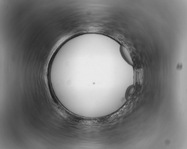 X0000103460147200810031505