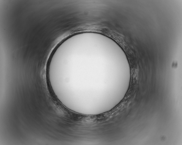 X0000103460148200810031505