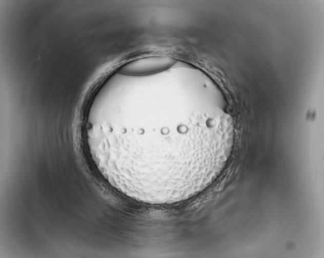 X0000103460149200810031505