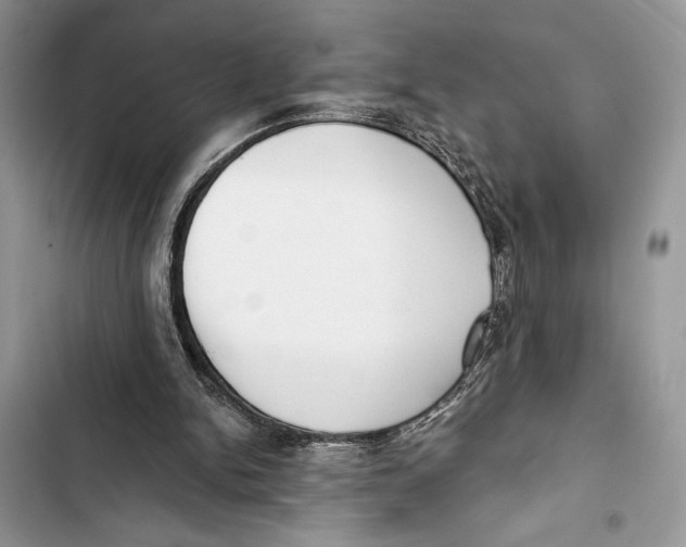 X0000103460150200810031505