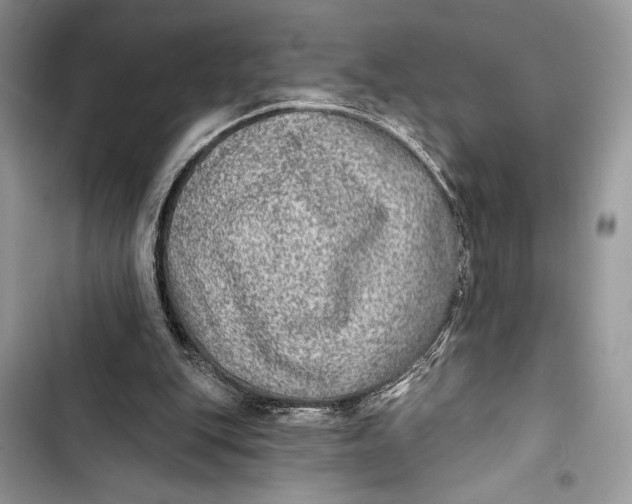 X0000103460151200810031505