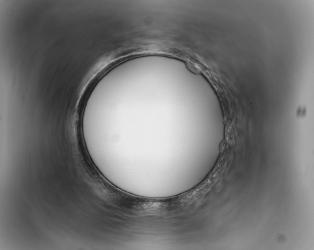 X0000103460152200810031505