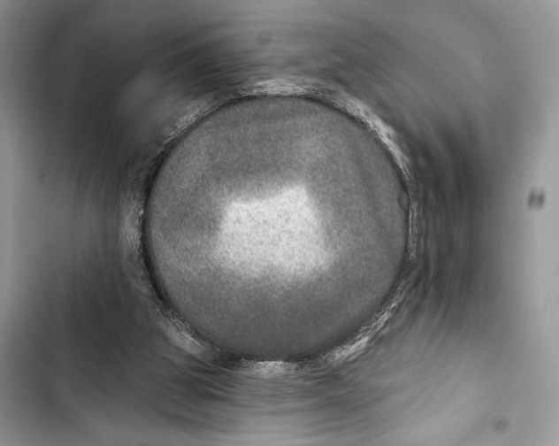 X0000103460153200810031505