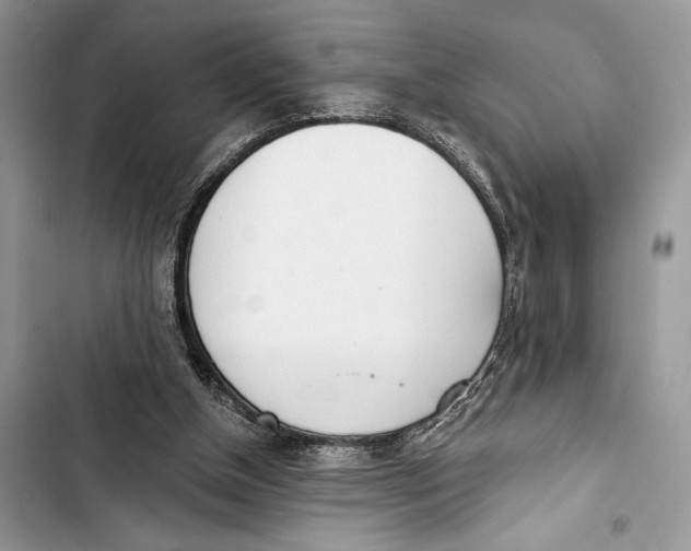 X0000103460154200810031505