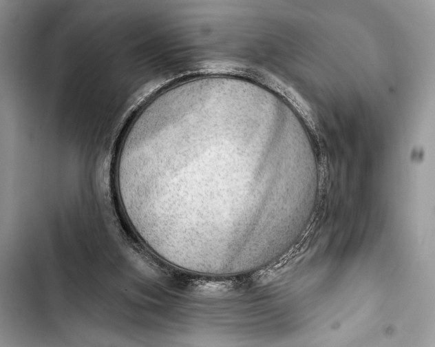 X0000103460155200810031505