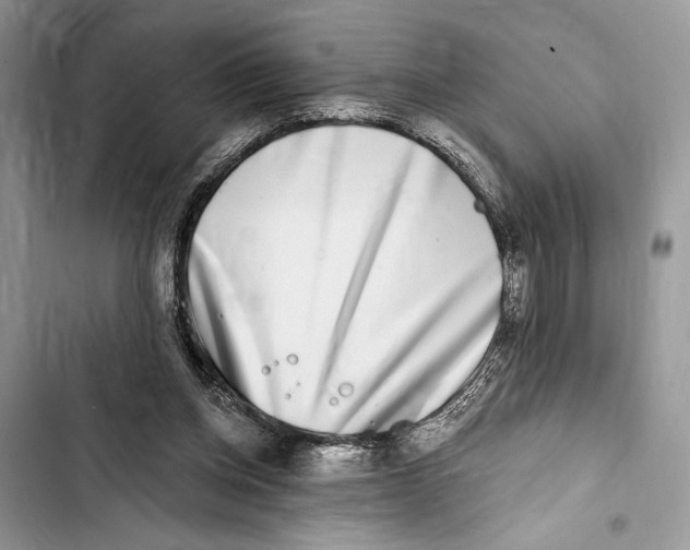 X0000103460158200810031505