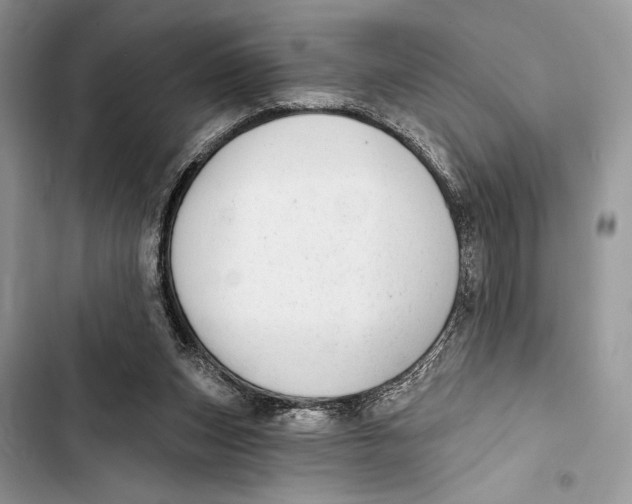 X0000103460159200810031505