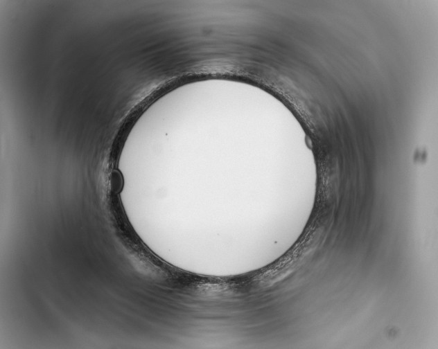 X0000103460160200810031506