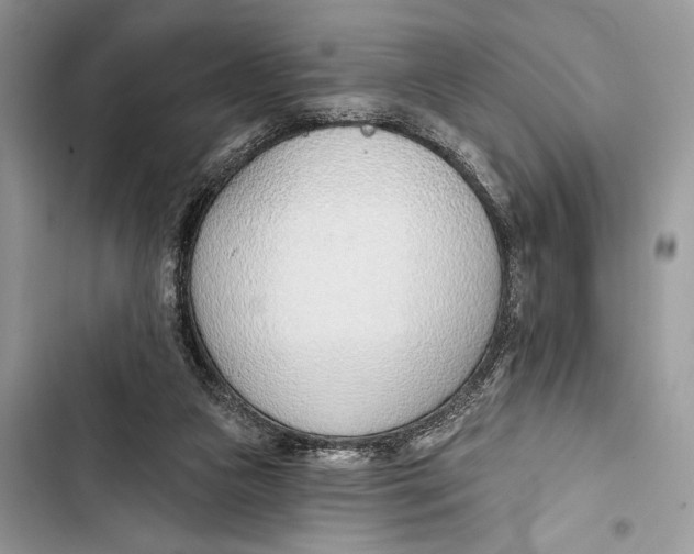 X0000103460161200810031506