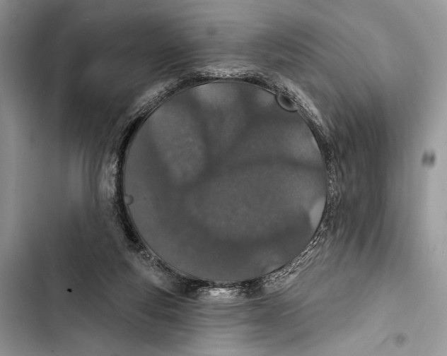 X0000103460163200810031506