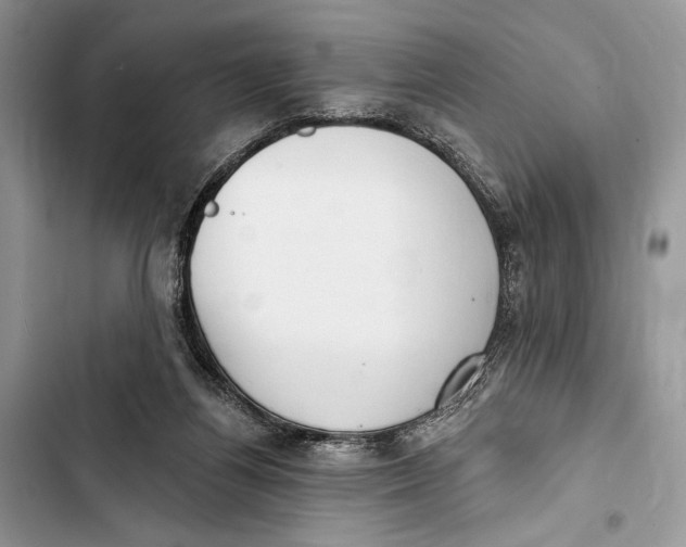 X0000103460164200810031506