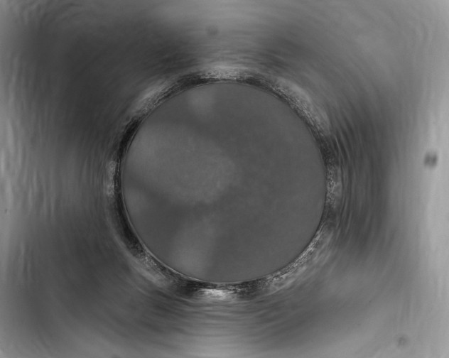 X0000103460167200810031506