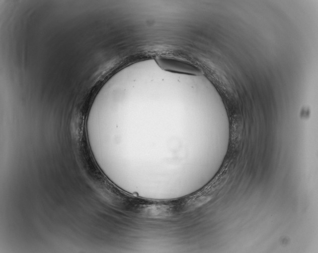 X0000103460168200810031506