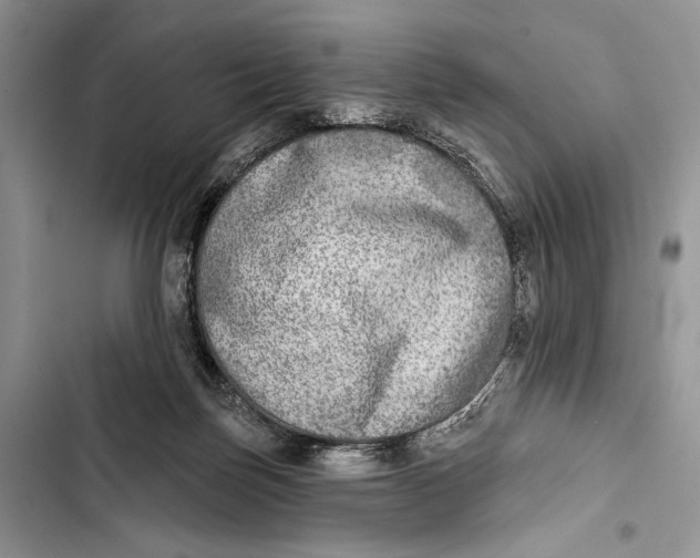 X0000103460171200810031506