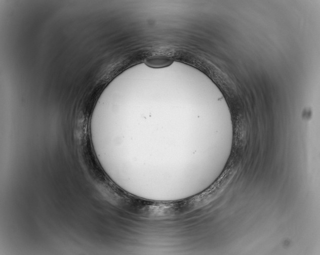 X0000103460172200810031506