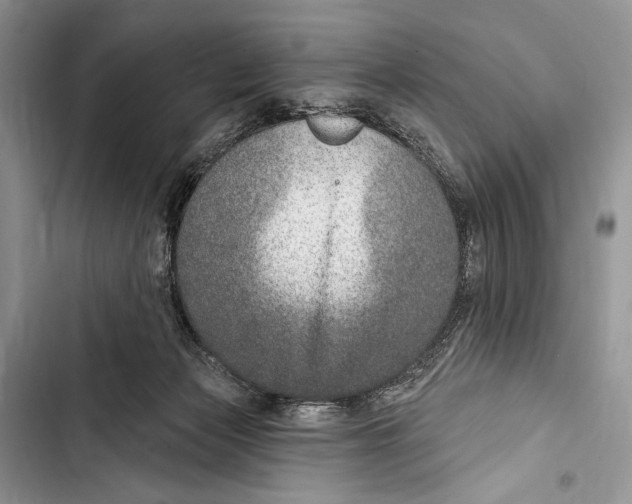 X0000103460173200810031506