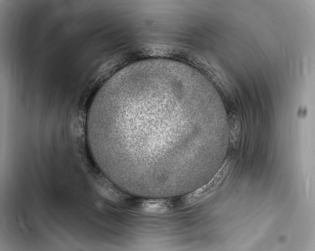 X0000103460175200810031506