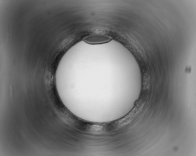 X0000103460176200810031506