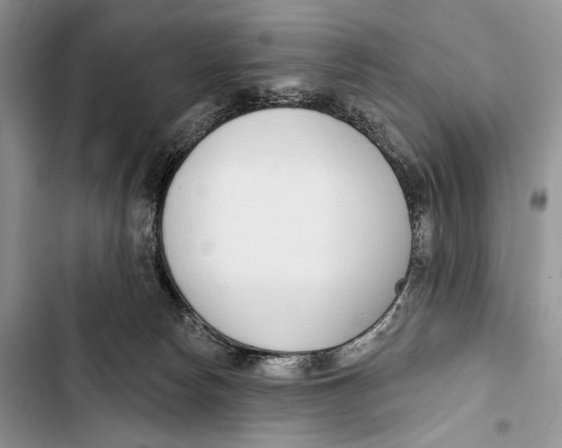 X0000103460178200810031506