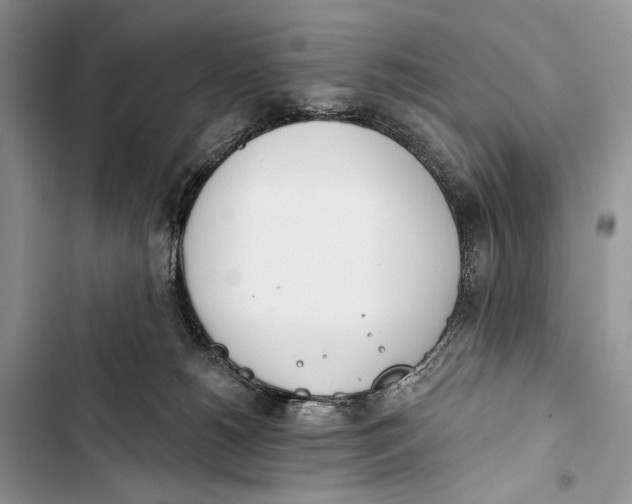 X0000103460180200810031506