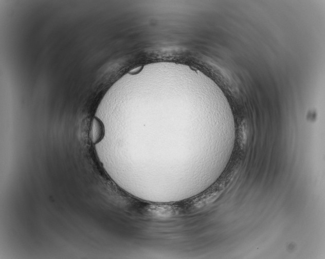 X0000103460181200810031506