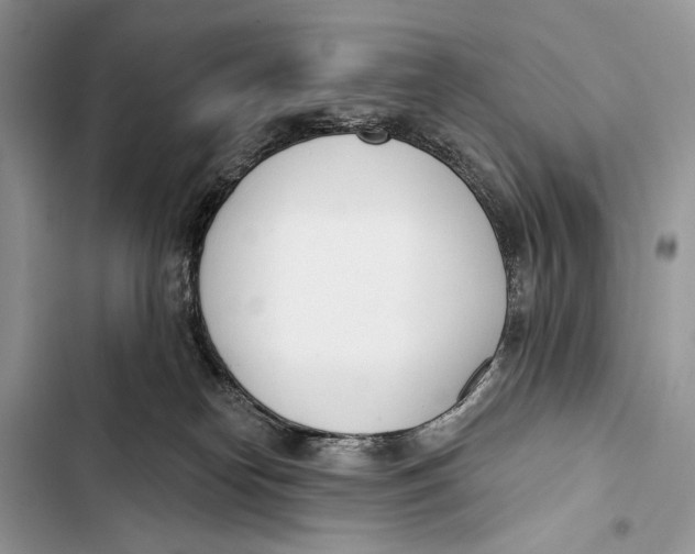 X0000103460182200810031506