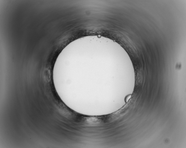 X0000103460183200810031506