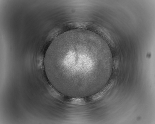 X0000103460185200810031506