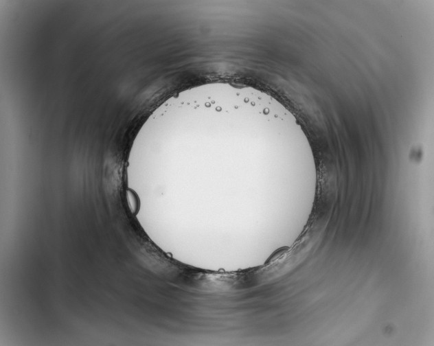 X0000103460188200810031506