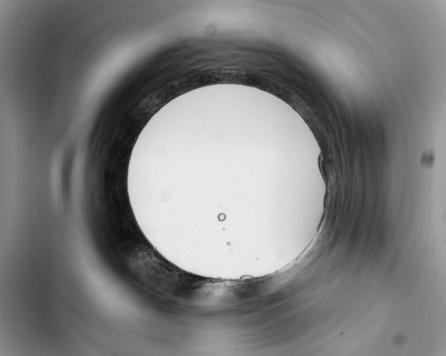 X0000103460190200810031506