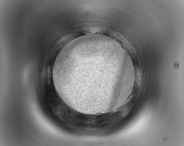 X0000103460191200810031506