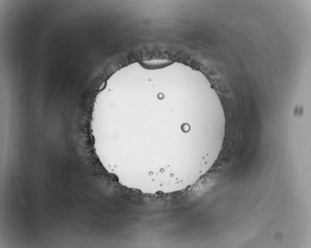 X0000103460192200810031506